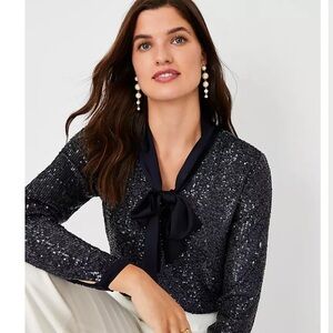 Ann Taylor Sequin Tie Neck Blouse